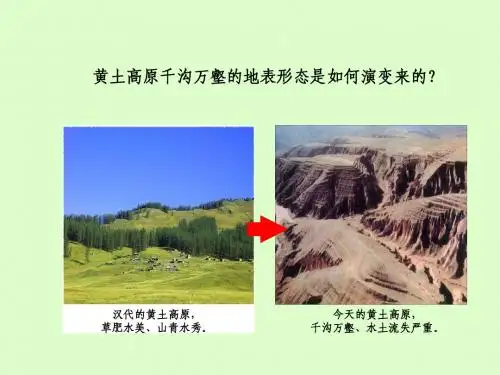 自然地理环境的整体性
