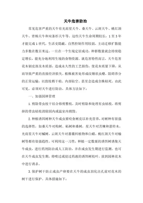 天牛危害防治