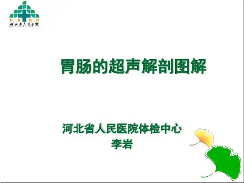 胃肠超声的临床应用