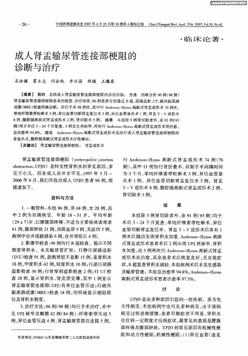 成人肾盂输尿管连接部梗阻的诊断与治疗