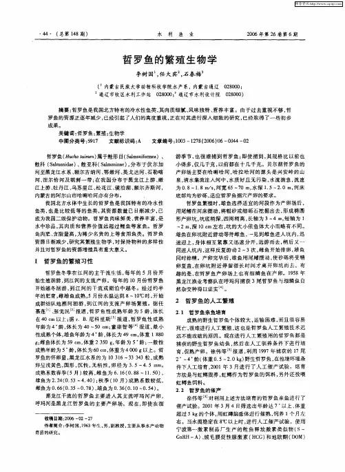哲罗鱼的繁殖生物学