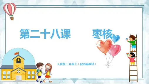 第二十八课《枣核》(课件) 语文三年级下册