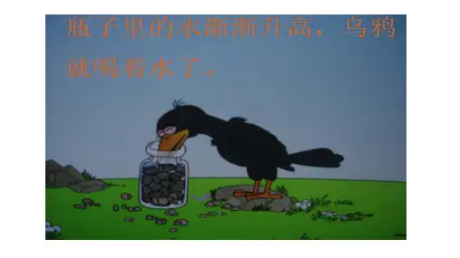 北师大版数学五年级下册第四单元体积与容积