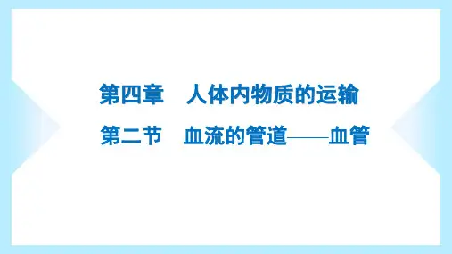2023年人教版七年级下册生物第四单元生物圈中的人第四章人体内物质的运输第二节血流的管道——血管