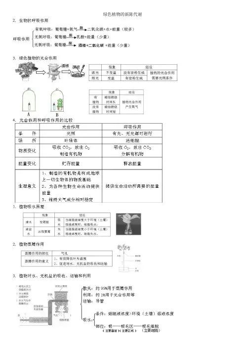 初中科学生物知识点练习:绿色植物的新陈代谢