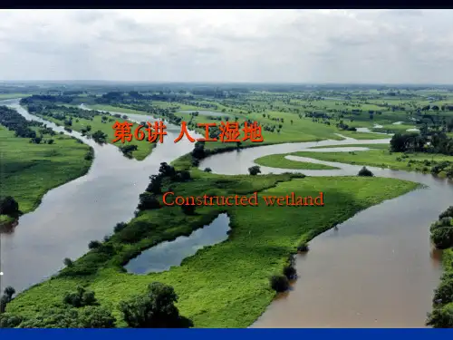 人工湿地