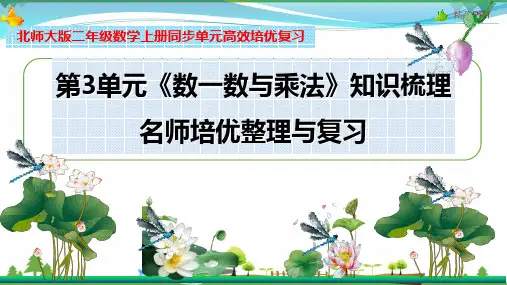 北师大版 二年级数学上册 第3单元《数一数与乘法》知识梳理(整理与复习课件)