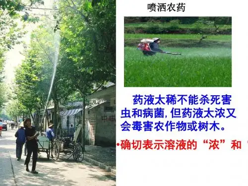 初中化学《溶液组成的定量表示》精品课件