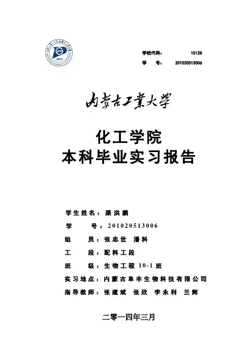 毕业实习_阜丰