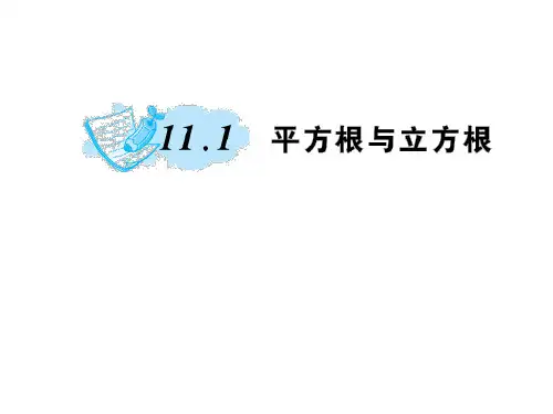精编课件11.1 平方根与立方根