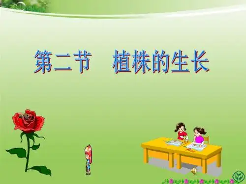第二节__植株的生长.(课件)