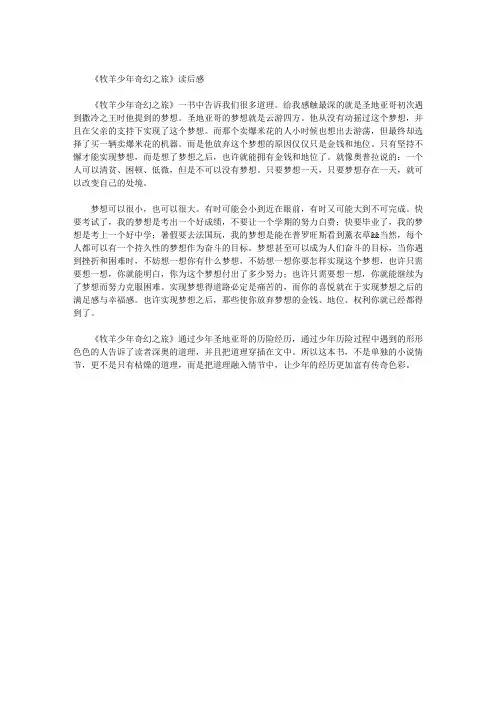 《牧羊少年奇幻之旅》读后感 2