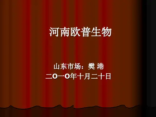 团队建设的意义和如何建立团队