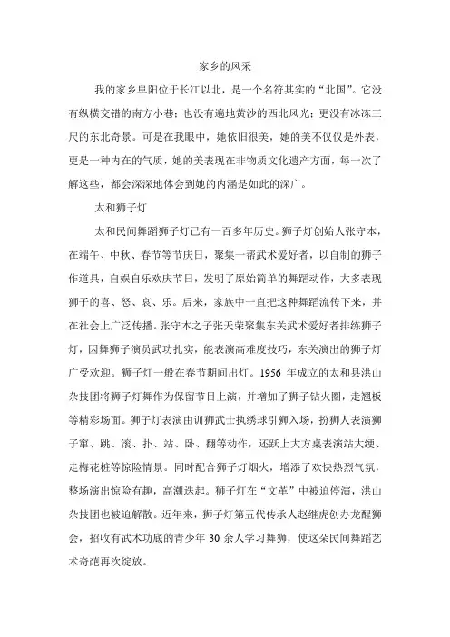 家乡非物质文化遗产