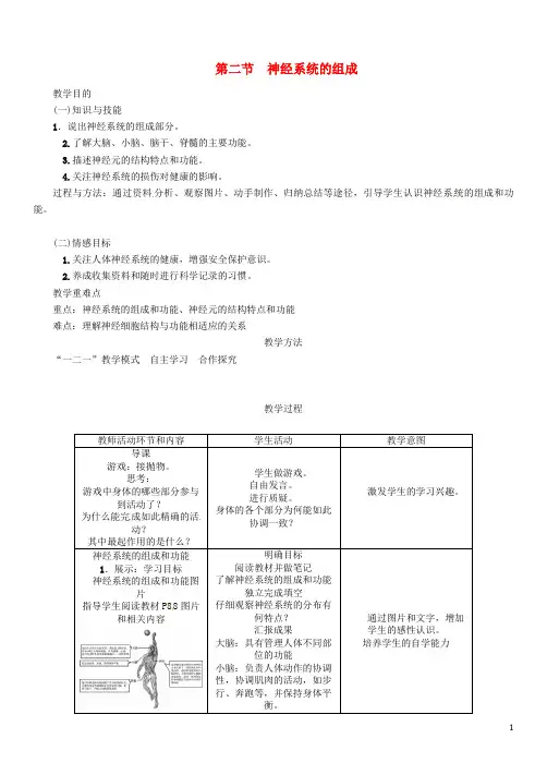人教版七年级生物下册4.6.2神经系统的组成导学案