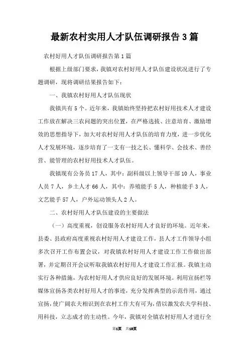 最新农村实用人才队伍调研报告3篇