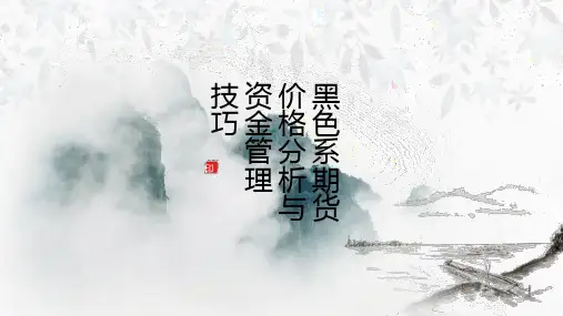 黑色系期货价格分析与资金管理技巧PPT课件
