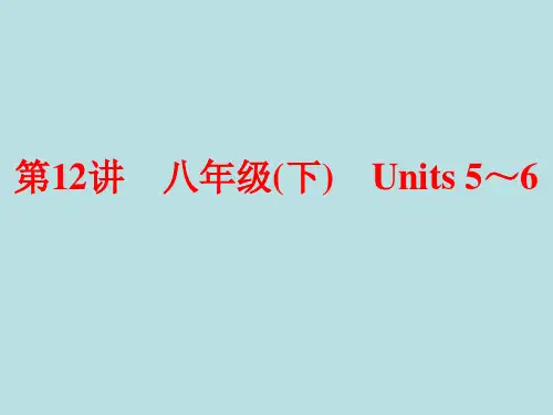 中考备战策略2017中考英语第一部分夯实基础第12讲八下Units5_6复习课件