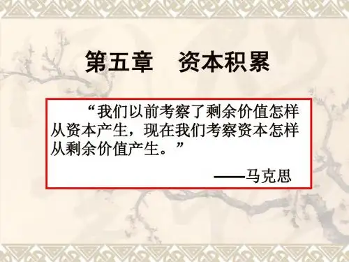 第五章 资本积累x