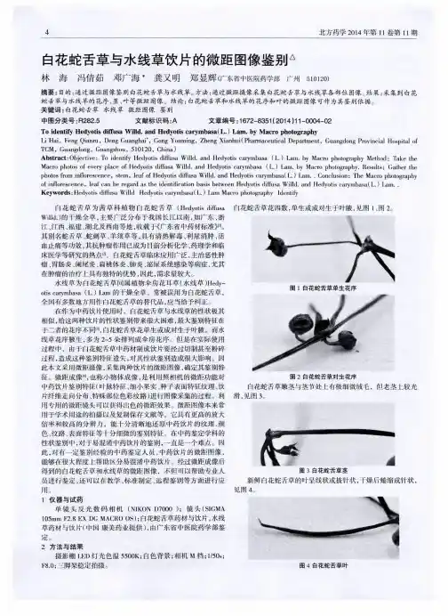 白花蛇舌草与水线草饮片的微距图像鉴别