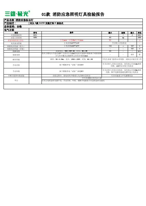 消防应急灯具检验报告(工艺)