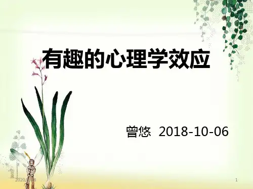 常见的心理学效应PPT课件