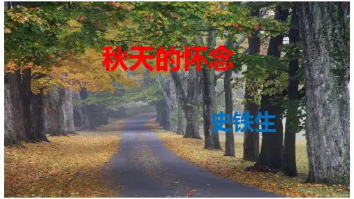六年级上册语文课件-课文12 秋天的怀念｜语文S版 (共19张PPT)
