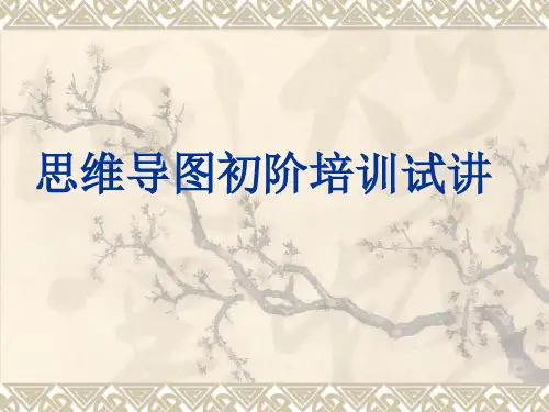 初阶思维导图培训
