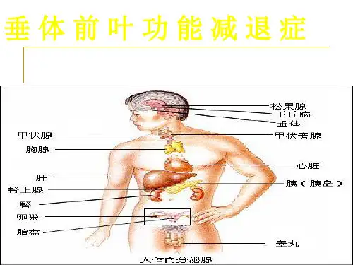 垂 体 前 叶 功 能 减 退 症