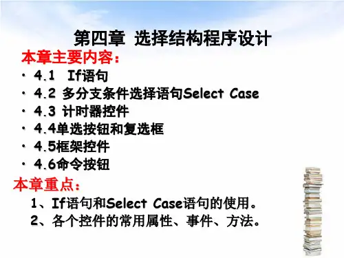 VB第四章理论课件