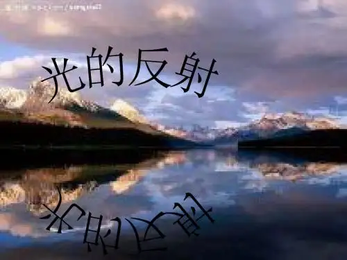 光的反射
