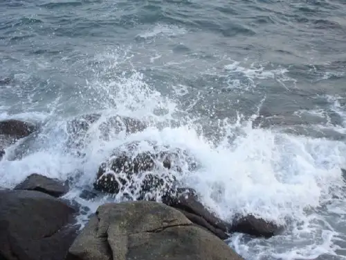 s版语文一年级上册《16浪花》