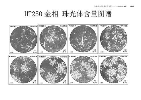 HT250金相 珠光体含量图谱