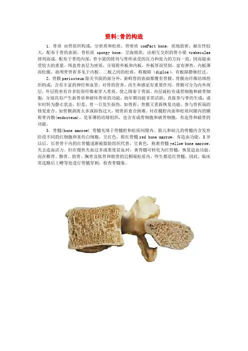 2020七年级生物下册 第四单元 生物圈中的人 第八章 人是生殖和发育 第三节 人体概述 骨的构造素材(新版)