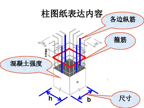 图解钢筋-柱配筋