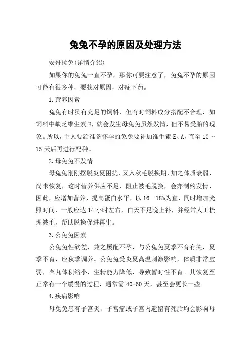 兔兔不孕的原因及处理方法