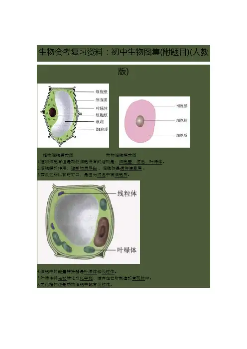 生物笔记图片