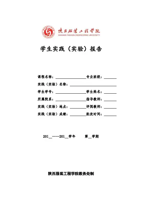 服装专题设计与实践--实践报告