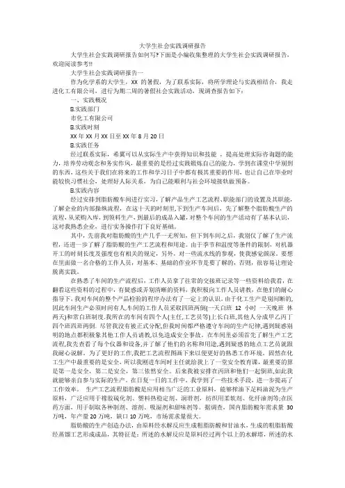 大学生社会实践调研报告 3
