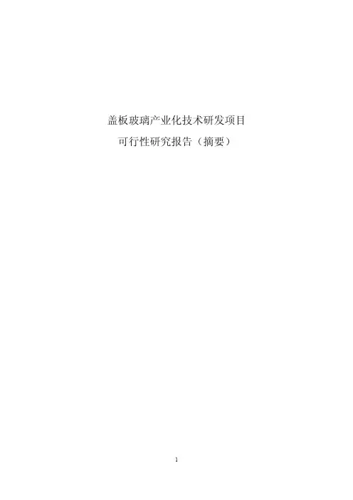 盖板玻璃产业化技术研发项目可行性研究报告