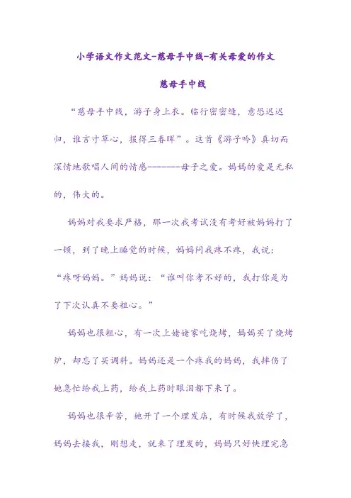 小学语文作文范文-慈母手中线-有关母爱的作文