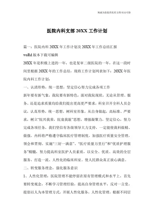 医院内科支部20XX工作计划
