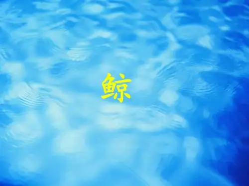 第九课《鲸》