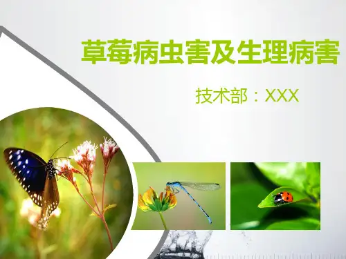 草莓病虫害及生理病害
