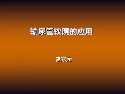 输尿管软镜