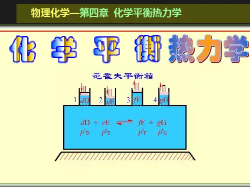 化学平衡热力学 3