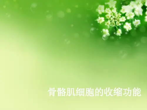 骨骼肌细胞的收缩功能优秀课件