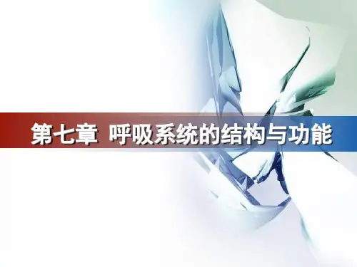 第七章-呼吸系统的结构与功能复习课程