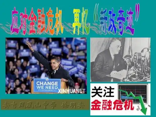 应对金融危机 再忆“新政”奇迹
