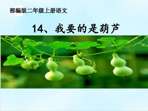 二年级上册语文教学课件-14.我要的是葫芦1-部编版(共11张PPT)